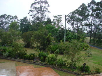 Clarence River Bed & Breakfast - New Castle Holiday 23