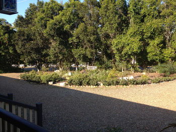 Eumundi Gridley Homestead B&B - New Castle Holiday 1