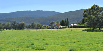 Langbrook Estate Cottages - New Castle Holiday 20