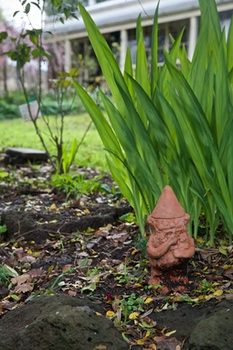 Holly Lane Mews - New Castle Holiday 4