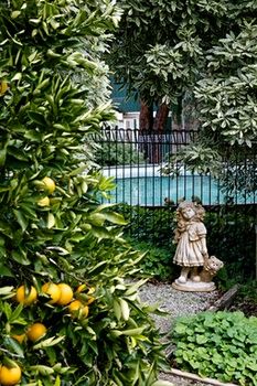 Holly Lane Mews - New Castle Holiday 31