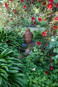 Holly Lane Mews - New Castle Holiday 37