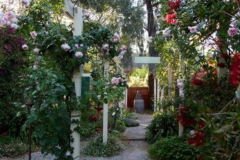 Holly Lane Mews - New Castle Holiday 40