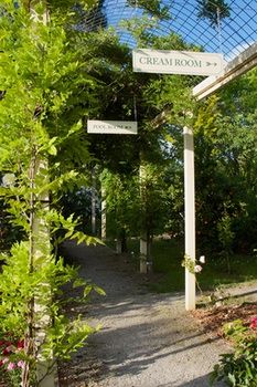 Holly Lane Mews - New Castle Holiday 45