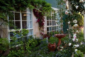 Holly Lane Mews - New Castle Holiday 46