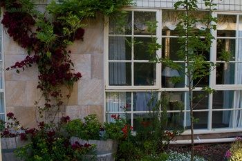 Holly Lane Mews - New Castle Holiday 47