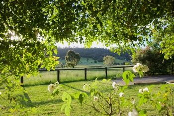 Holly Lane Mews - New Castle Holiday 54