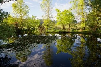 Holly Lane Mews - New Castle Holiday 58