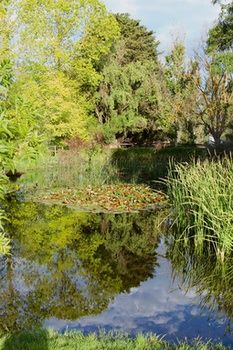 Holly Lane Mews - New Castle Holiday 59