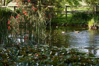 Holly Lane Mews - New Castle Holiday 61