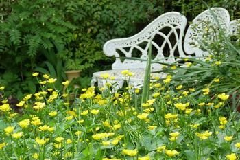 A Winter-rose Cottage B&B - New Castle Holiday 4