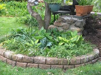 A Winter-rose Cottage B&B - New Castle Holiday 6