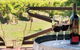 Wild Cattle Creek Estate - thumb 10