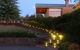 Wild Cattle Creek Estate - thumb 12