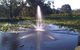 Wild Cattle Creek Estate - thumb 14