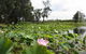 Wild Cattle Creek Estate - thumb 43