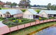 Wild Cattle Creek Estate - thumb 51