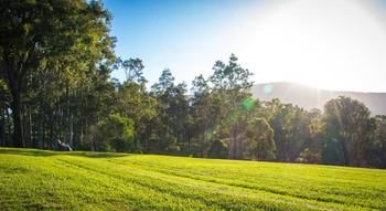 Elfin Hill Country Accommodation - New Castle Holiday 18