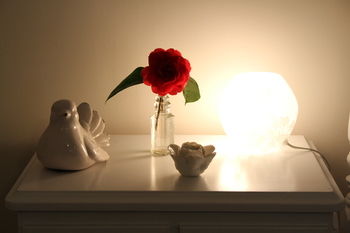 Merrow Cottages - New Castle Holiday 37