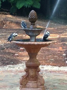 Merrow Cottages - New Castle Holiday 54