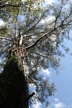 Merrow Cottages - New Castle Holiday 57