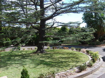 Tantarra Bed And Breakfast - New Castle Holiday 14