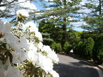 Tantarra Bed And Breakfast - New Castle Holiday 15