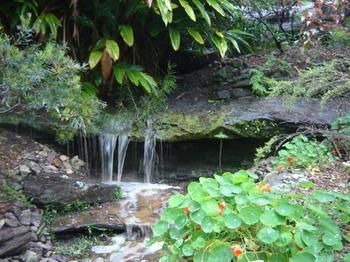 Beachview Homestay - New Castle Holiday 5