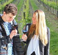 Valley Farm Vineyard Cottages - New Castle Holiday