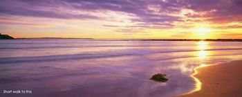 Kims Beachside Lodges - New Castle Holiday 22