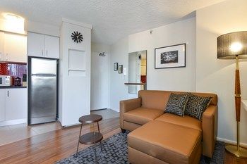 CBD Vistas - New Castle Holiday 5