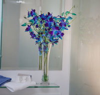 Grand Hotel Wyong - New Castle Holiday