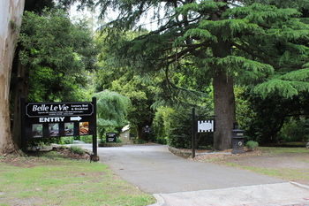 Belle Le Vie - New Castle Holiday 23