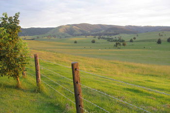 The Wattle Lodge - New Castle Holiday 21