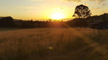 The Wattle Lodge - New Castle Holiday 35