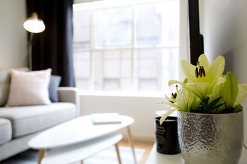 City Edge Town Apartments - New Castle Holiday 4