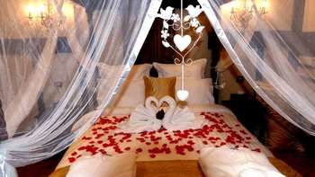 Aquila Nova Retreat - New Castle Holiday 39