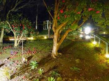 Aquila Nova Retreat - New Castle Holiday 43