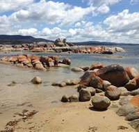 Lake Eckersley campground - New Castle Holiday