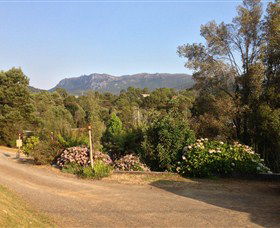 Rosebery Cabin And Tourist Park - New Castle Holiday 0