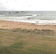 Penguin Caravan Park - New Castle Holiday