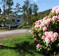 Zeehan Bush Camp  and Caravan Park - New Castle Holiday