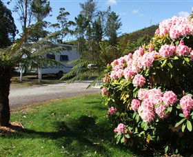 Zeehan Bush Camp  And Caravan Park - New Castle Holiday 0