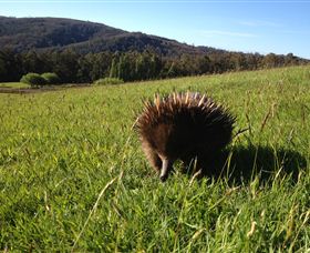 Silver Ridge Retreat - New Castle Holiday 1