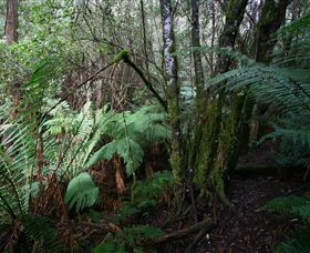 Silver Ridge Retreat - New Castle Holiday 4