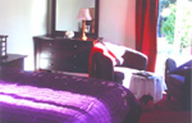 Sweets Hill Bed And Breakfast - New Castle Holiday 0