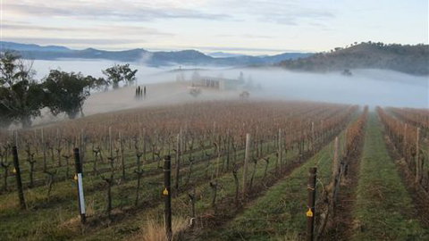 Valley View Caravan Park - New Castle Holiday 5