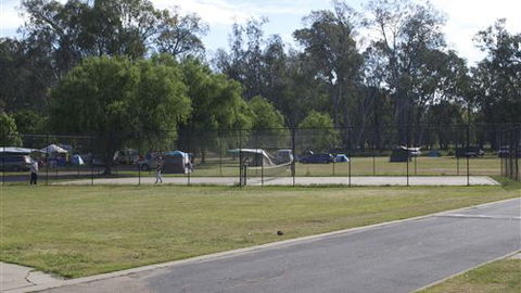Painters Island Caravan Park - New Castle Holiday 4
