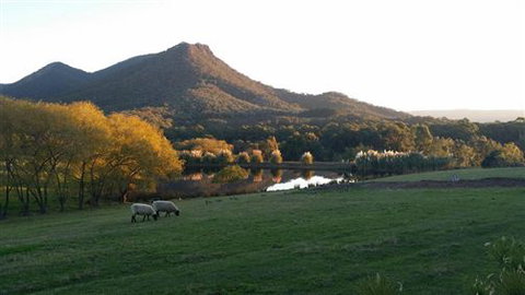 Cathedral Valley Farm - New Castle Holiday 2