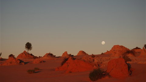 Mungo Lodge - New Castle Holiday 6